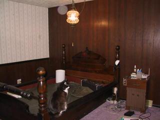 905bedbefore