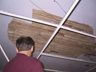 910bedceiling
